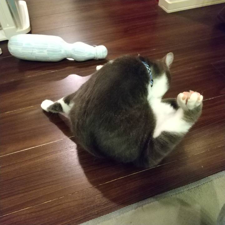 E7f0d20e 2e44 48b1 8788 e904d1e8b95f 1616709310425