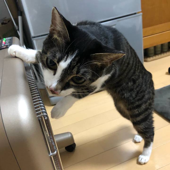 E7f0e1da efc4 4652 b61b 94cb88f96bfb 1581751198507