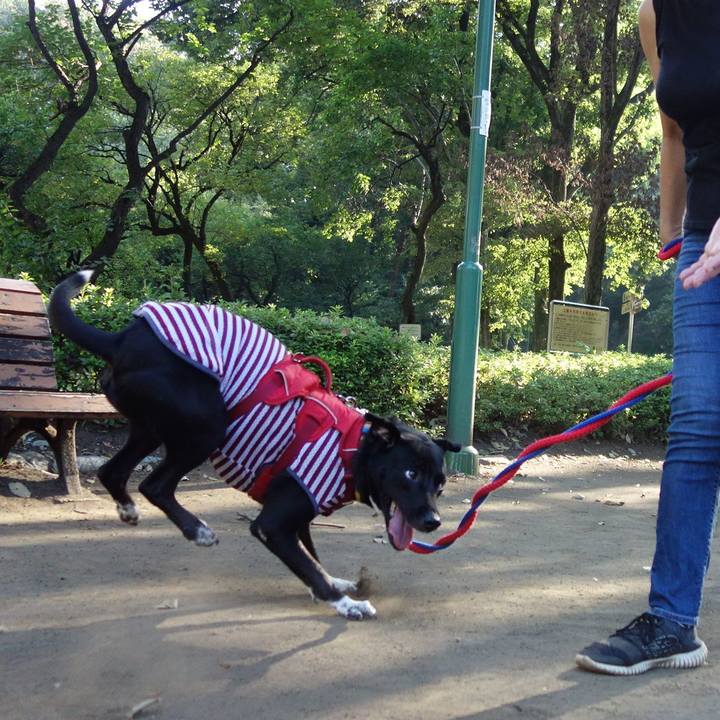 E7f102be 52c0 4fff b8b2 801e44356793 1597968801830