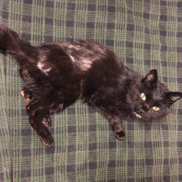 E7f103d1 9a56 4039 a8c4 0171e7c613b5 1646563058895