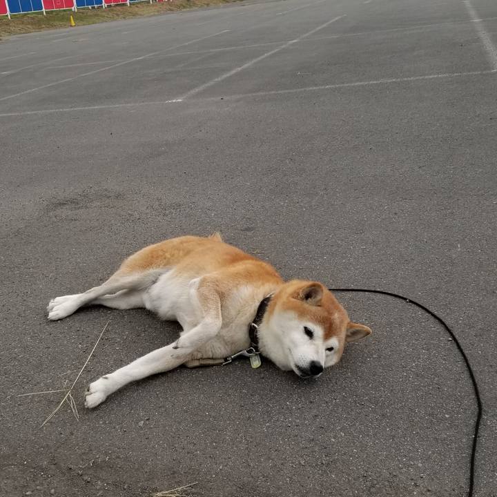 E7f111ba 4b28 406f ac85 e0a19524bf28 1664264003754