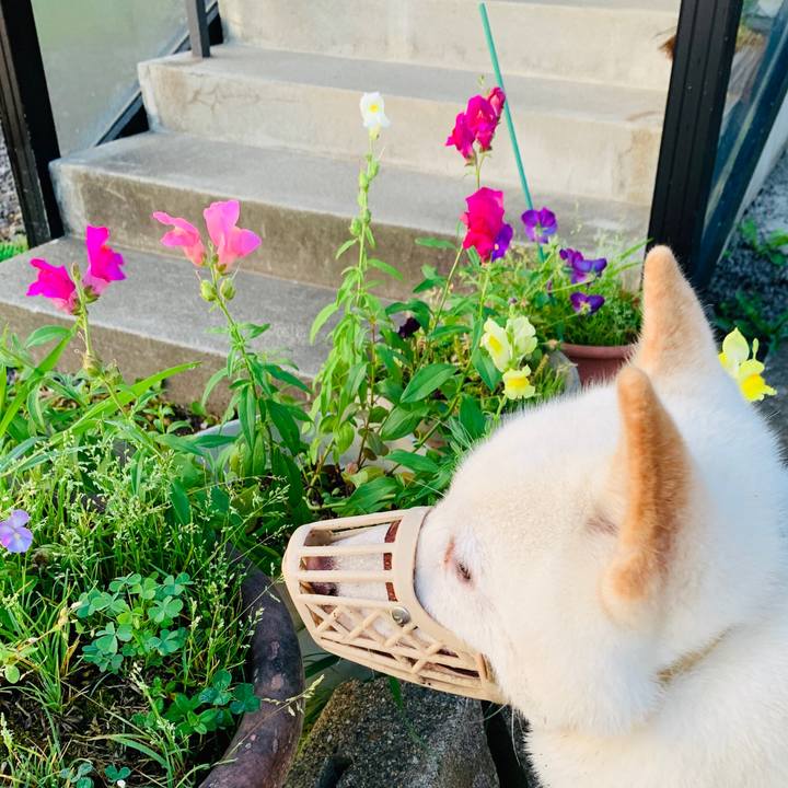 E7f18a14 dfcd 487d 83ce 939220cd8b32 1598045568426