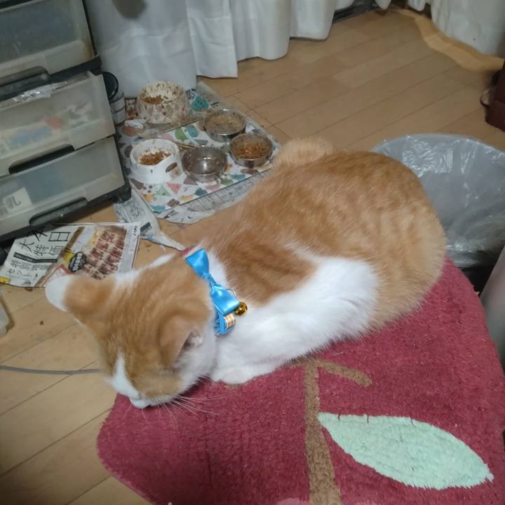 E7f1d1bb ff50 4f72 9416 563e6654af1d 1732090847409