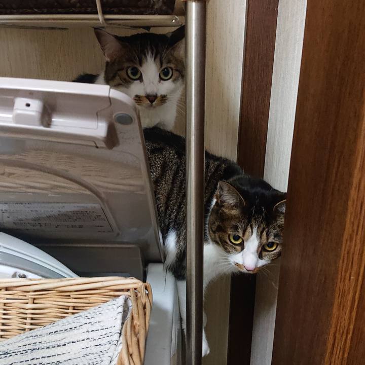 E7f1d7c3 3dbd 4208 b428 0b273fd89005 1708139648443