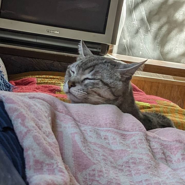 E7f1d81b 7ae3 4b42 940f e5d47678eb48 1715751718024