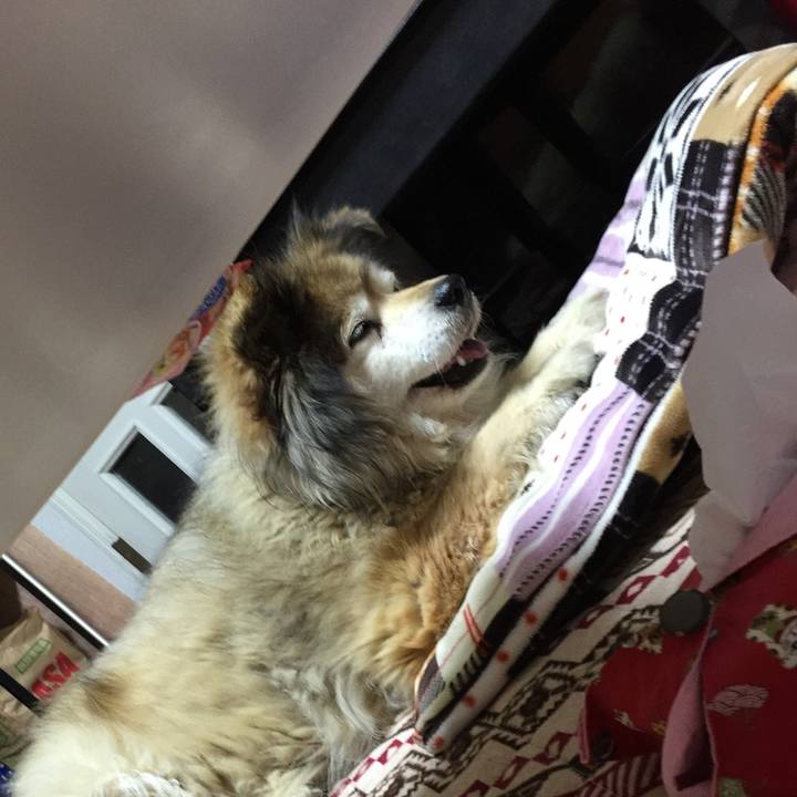 E7f20d91 f9ab 4237 ad1a 2c5451cae9b8 1606529980108