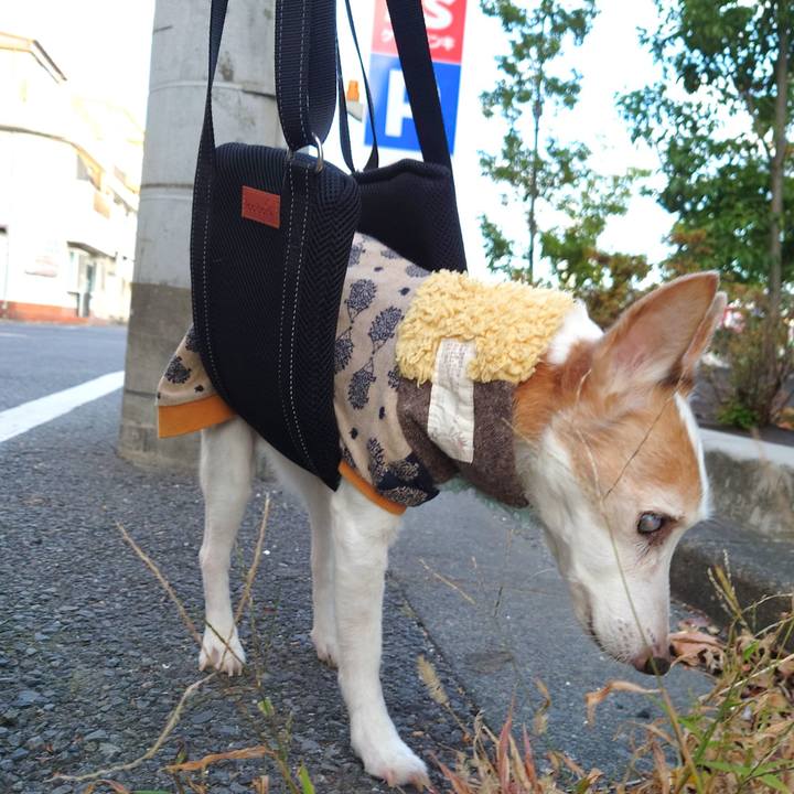 E7f23ea5 c966 46ef 8102 2f28a48cf9c3 1765288675443