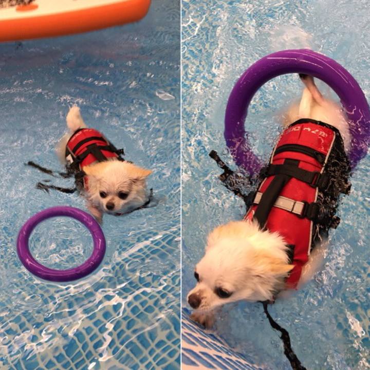 E7f27594 952b 4877 8ef9 94dcc7bfcb83 1533863166595