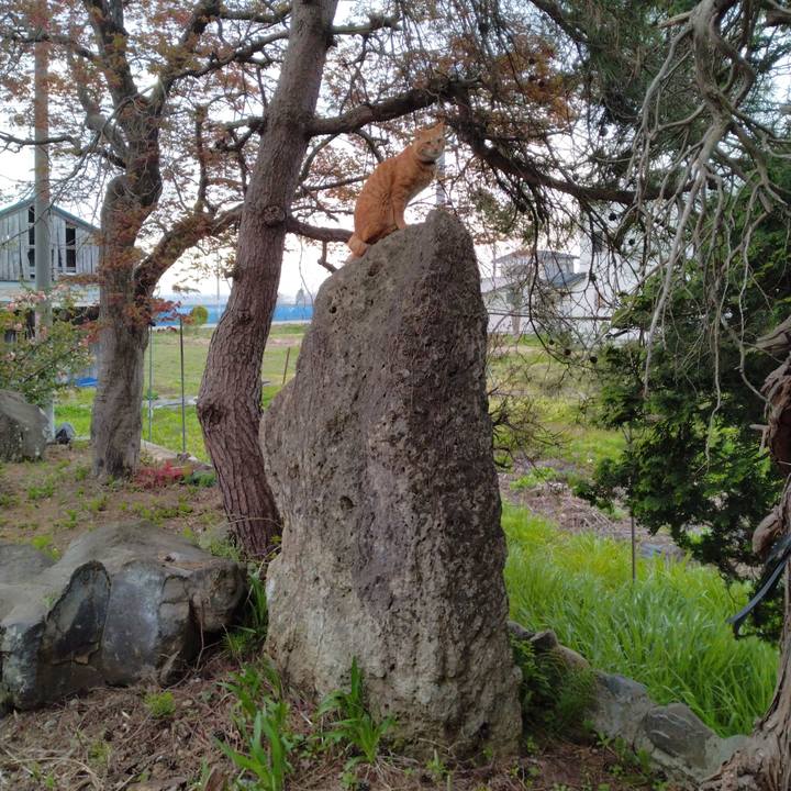 E7f284b0 bec9 4aea b570 cf844d6d61c1 1682029431187