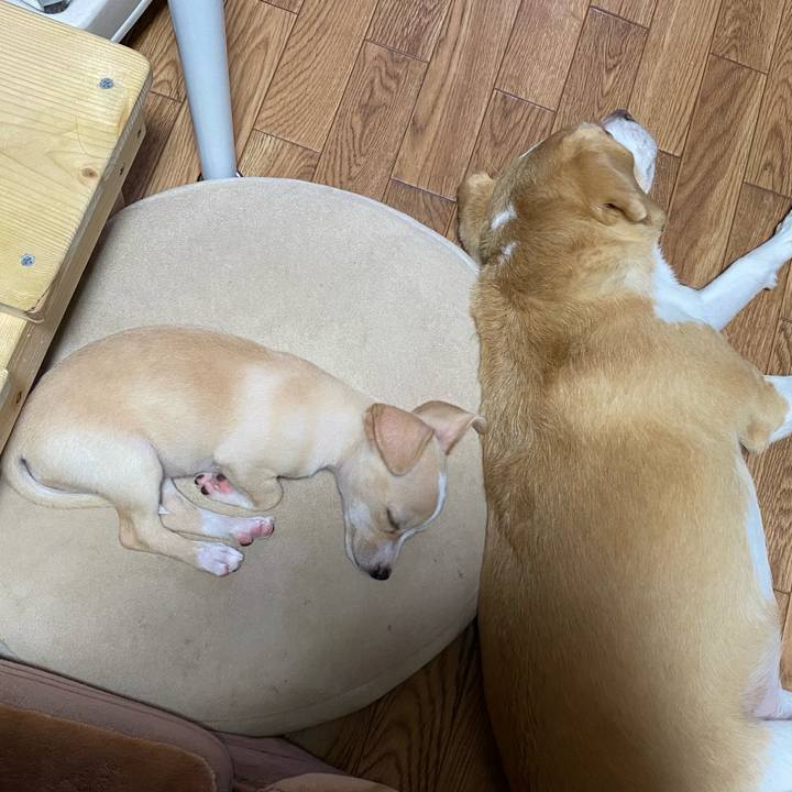 E7f2e0d0 ab59 4e95 b411 58931de46ce3 1661949389274