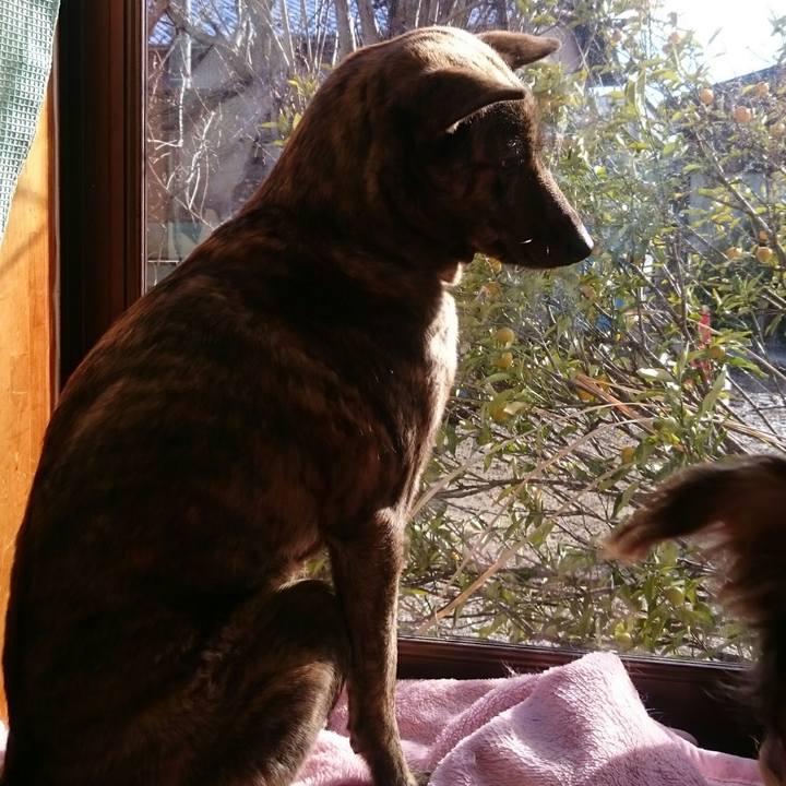 E7f30c2a 0308 46b0 bc28 f2a5fa4807f4 1515834641529