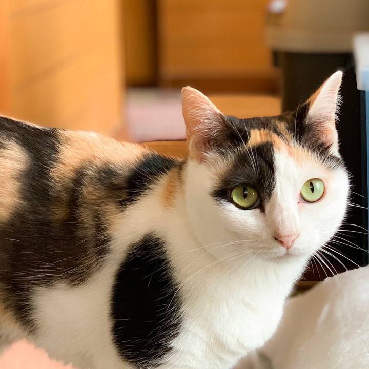 E7f332c6 eed3 4fe7 9bfa 400f7cdbdad8 1566433524849