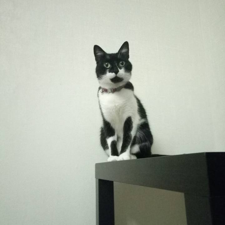 E7f37383 ea63 4151 b2db 11ff50faf16c 1547233801118