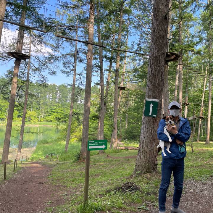 E7f37de0 7fd1 4286 ba87 4379df9de051 1655474383608