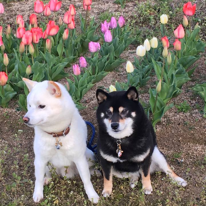 E7f37f7c 4ef3 406b 8d5a e309356a4b25 1554371234464