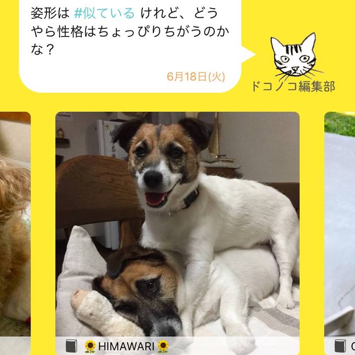 E7f3ba49 033d 4e17 b3aa a5fad3a1442c 1560830491215