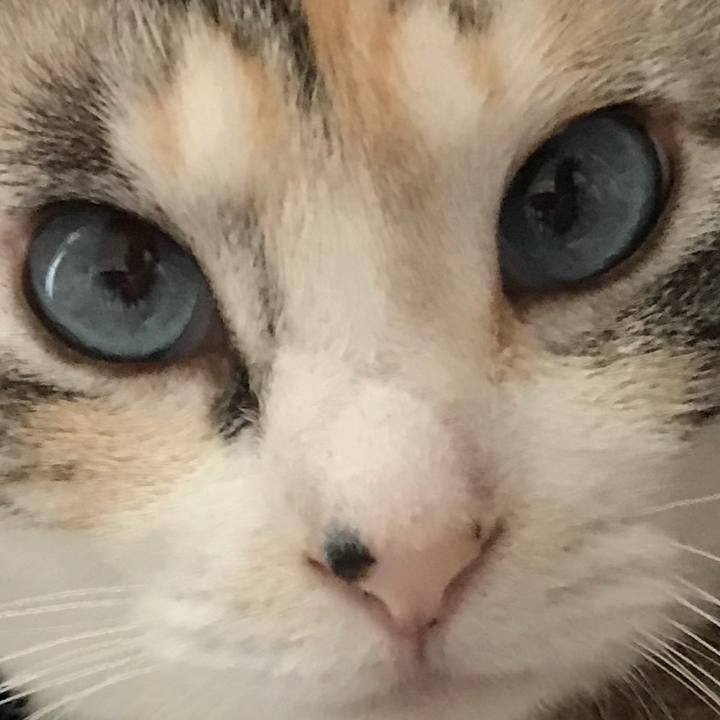 E7f3dada a571 4085 b5e1 f9712ad3cc27 1528459835094