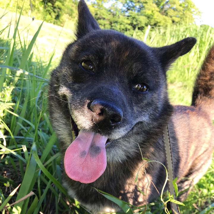 E7f3e8a2 0608 4036 90b6 a4020c8741cb 1561457431660