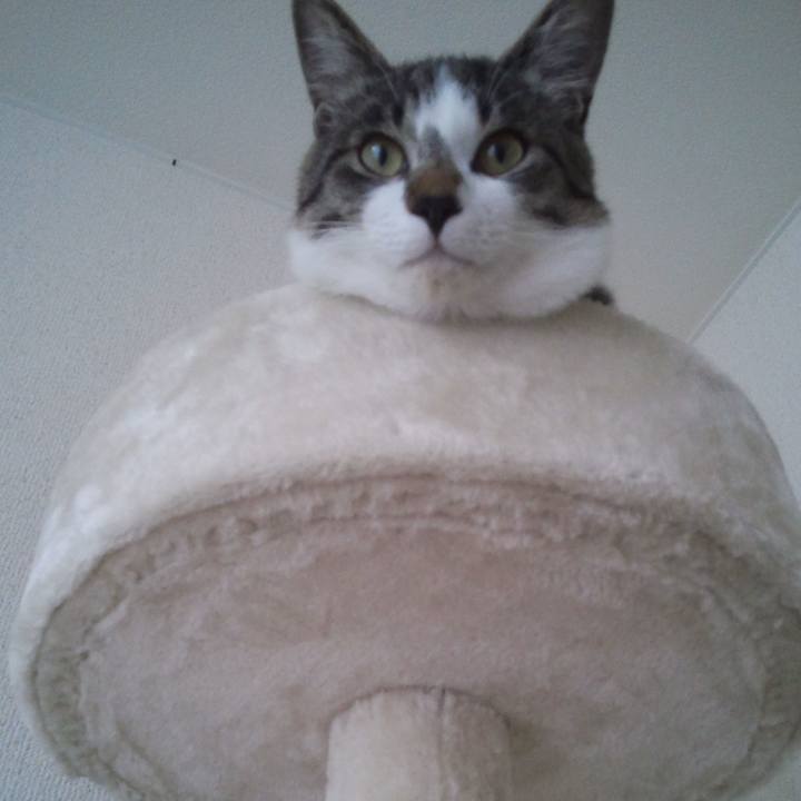 E7f45933 7423 4927 95e3 83db63f3a8f2 1607865546196