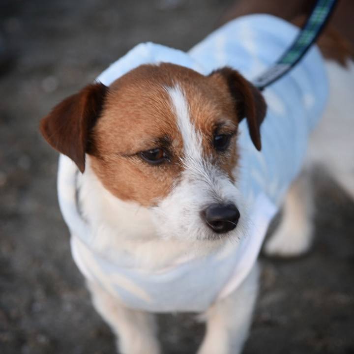 E7f4c10f 4992 4ab7 92ff 17396f4a9e6b 1515674597747