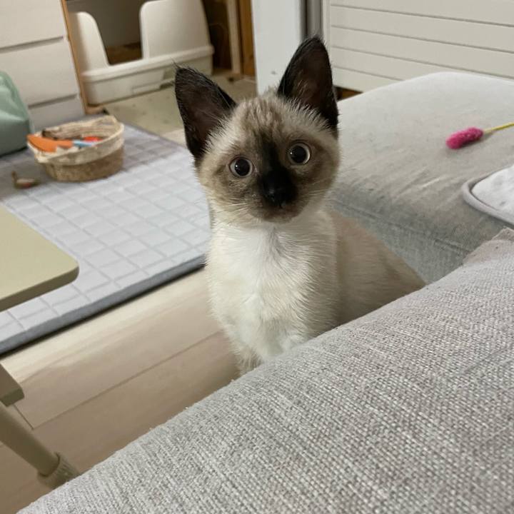 E7f4e86a 29f2 4a80 b104 40b1f7bac940 1689622903378