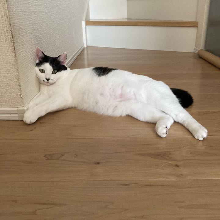 E7f5365d 77f5 4a34 ac82 bc5f5e1acd79 1762494713752