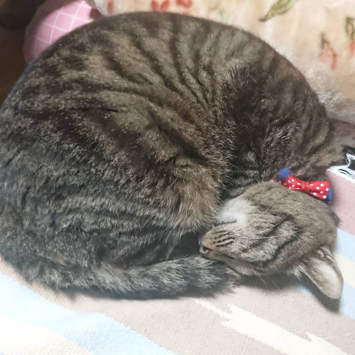 E7f53c73 d7e5 4577 a949 e62037b86301 1654466620148