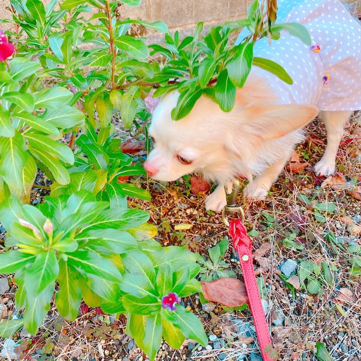 E7f542aa 4641 41ba 8f2f 2906c4a7333f 1638433568511