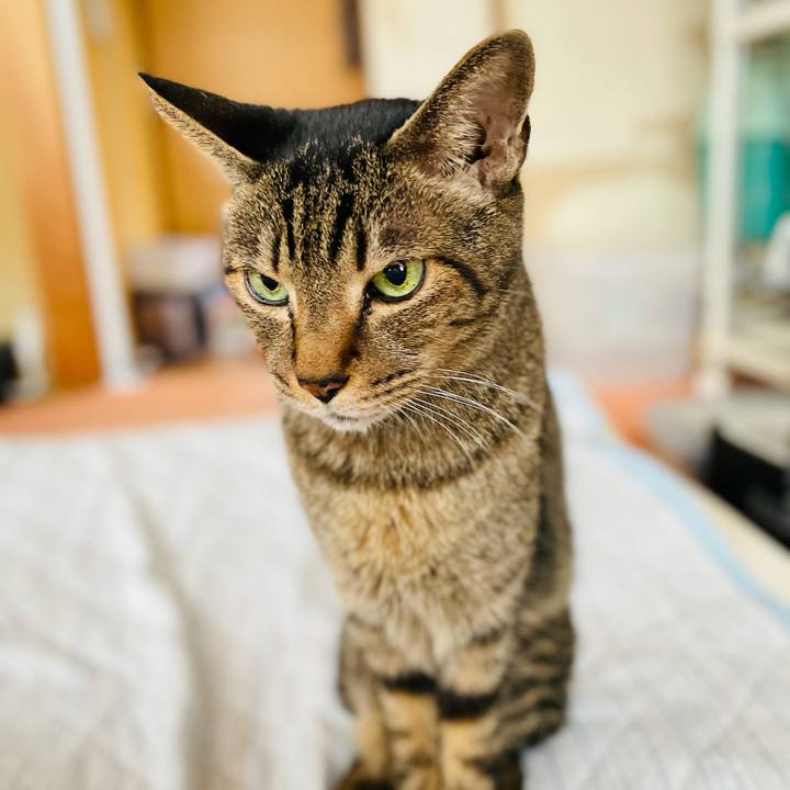 E7f57c1c aa01 40b3 98af d21003440dee 1605228014180