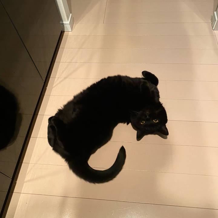 E7f5916f 279c 409f a811 ff3d1738aa51 1774442532154