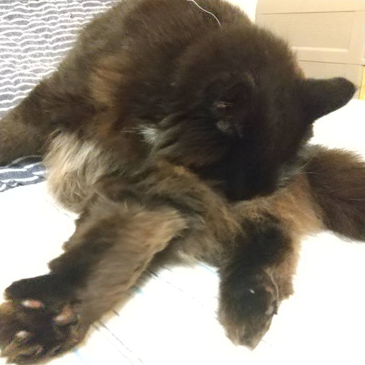 E7f5b9be e9e0 46bd b865 e1f14abd1d34 1589725332383