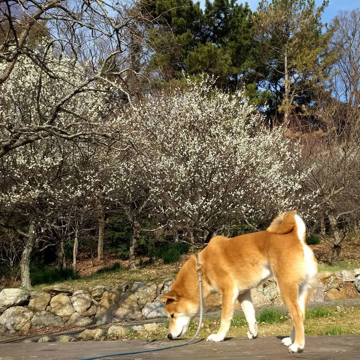 E7f609b6 e2d0 4dd9 8d50 8f2fd1ca2199 1519820474548