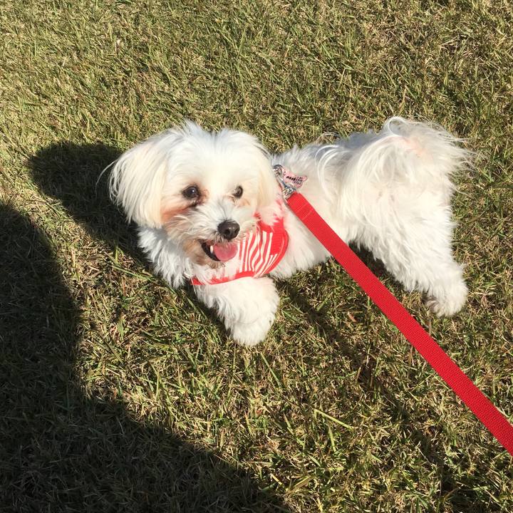 E7f62694 edfe 4727 9665 4ed65b8c3387 1509672792160