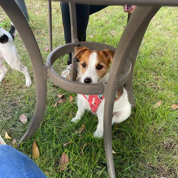 E7f62edd bca9 425f a45a 010268b61bf3 1762727803581