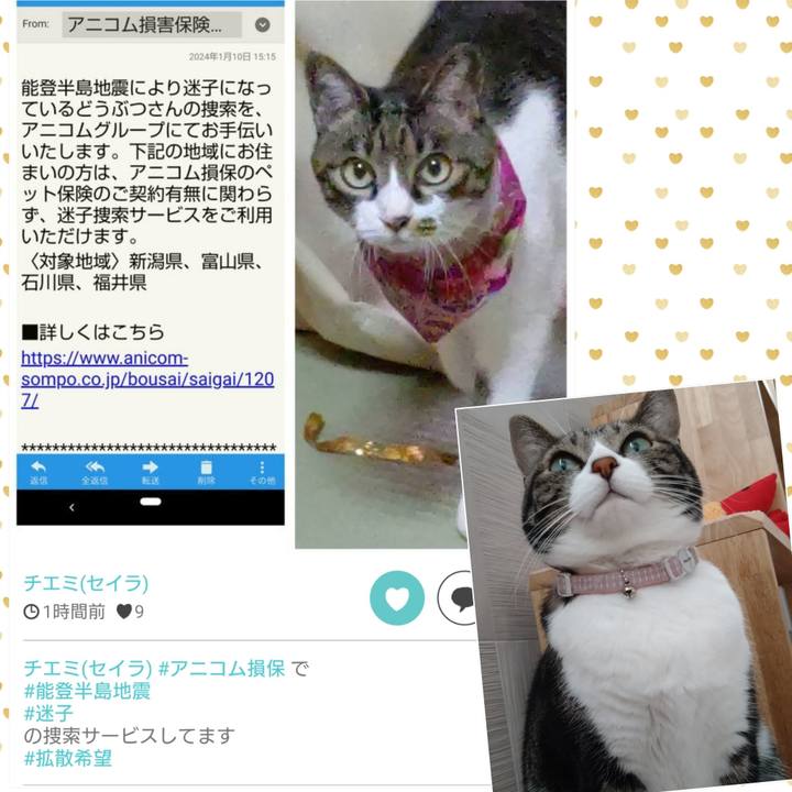 E7f69cbb b029 4108 bedc e8be2a5d5102 1704891311000