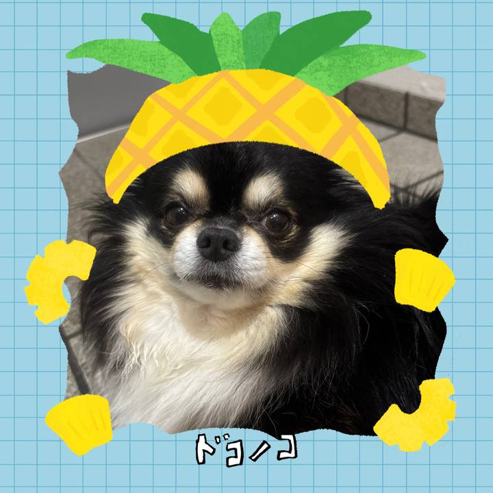 E7f6a2ab 687c 4d52 b0e5 9d729c53fb34 1783316615029