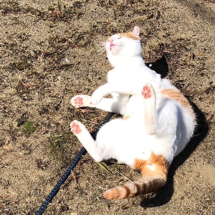 E7f6b201 2ddb 4050 997e 2b977bbd17f7 1538807849615