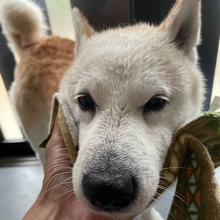 E7f6c312 c7ab 4c96 af48 926e6e6f4f03 1655853044711