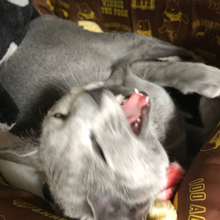 E7f6d7b2 63fa 46e6 b934 913c38629f93 1513083244693