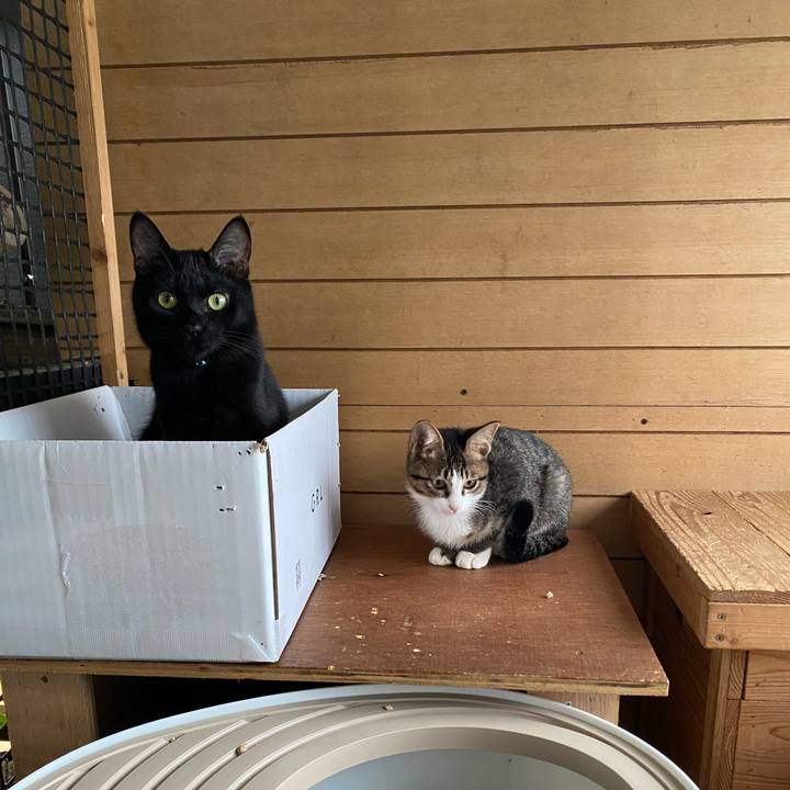 E7f6f82e a839 4f4a 8f5b fecf0c79e128 1634864280195