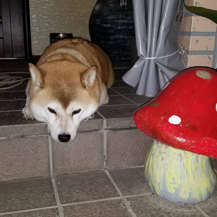 E7f71aa5 8563 4b17 be9a f554b9463025 1599559198849