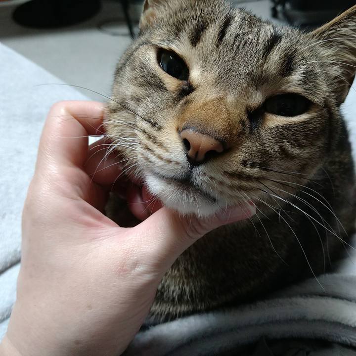 E7f72489 e0bd 4cbc 980e ae182104620c 1708878772271