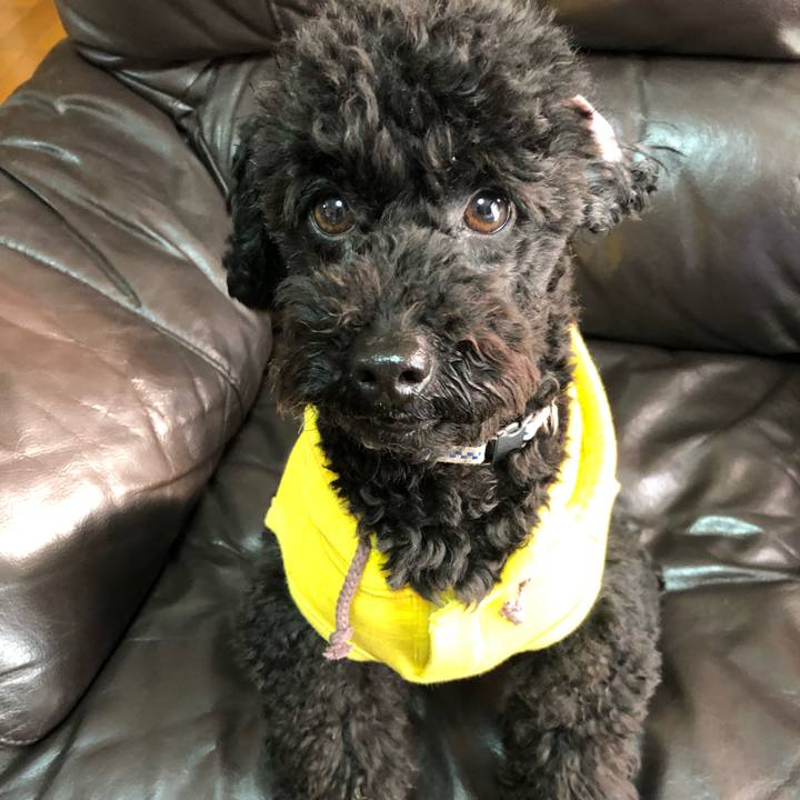 E7f73a4a 8223 4db1 a7cd 8610954f5403 1552517324415