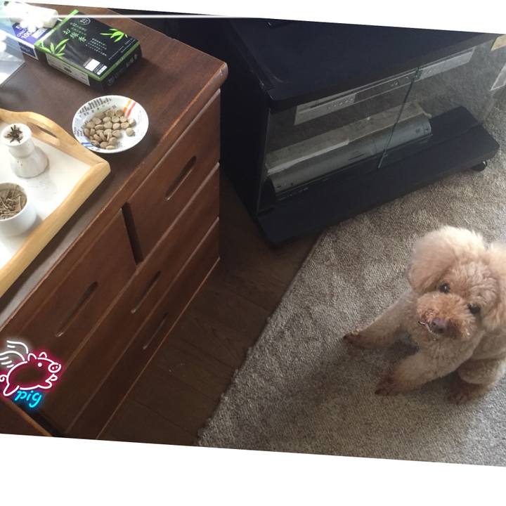 E7f75d0c c42a 49d6 bd7f b1b6f1c34fa8 1532670820345