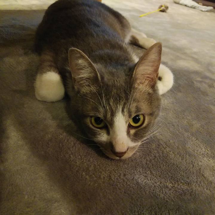 E7f7726a 041a 48ac 99ce b3bff001fe76 1589806184311