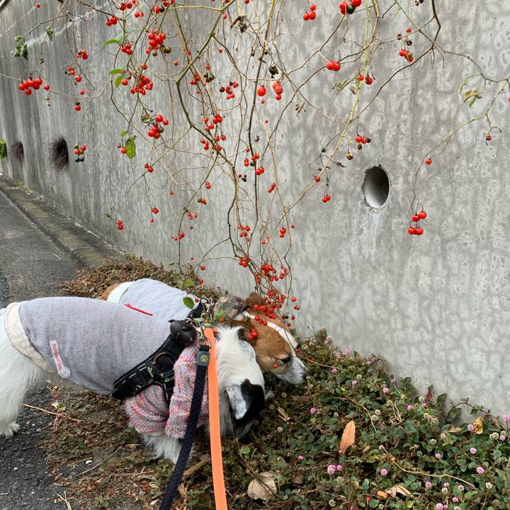 E7f7a422 5e2e 4962 98fc ded8d96207df 1638755270973