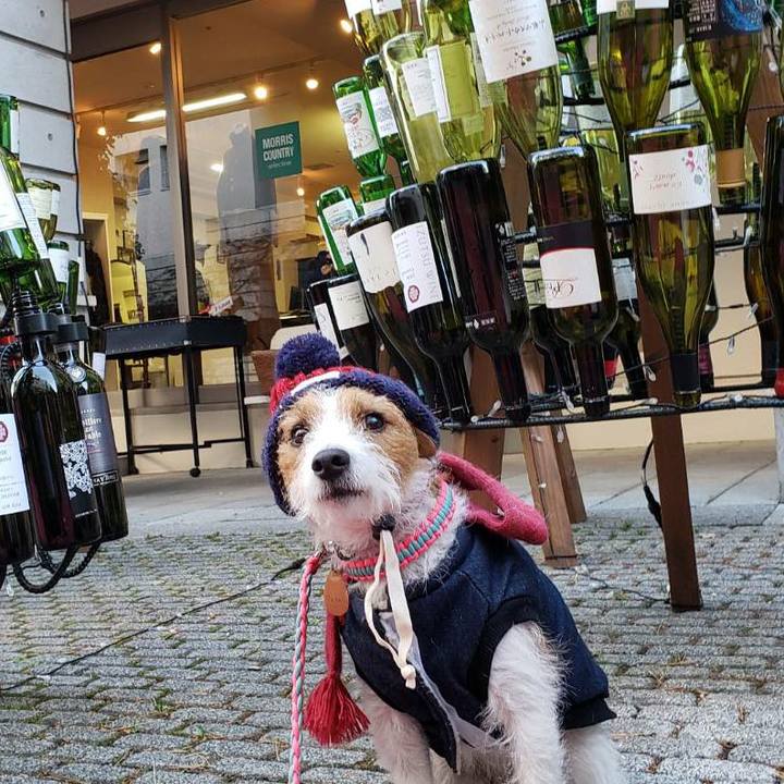 E7f7a940 94bf 4fec af6a 17d5489ef1b0 1575112047030