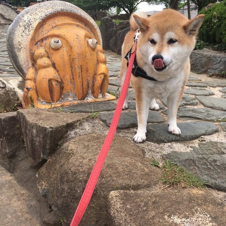 E7f7e793 e8db 4ebc a786 21d3fc40f9f6 1621128153472