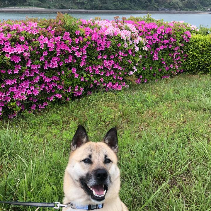 E7f7ebaf 5f89 4d37 9697 8557732b17a3 1556506099861