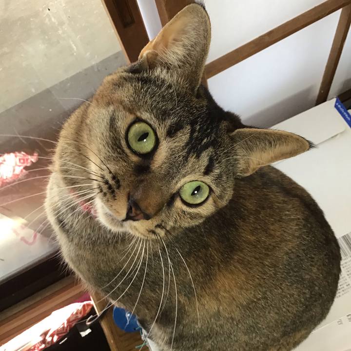 E7f7f3b3 10f2 4dd8 a0eb 0a2134394cbf 1608615482814